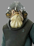 Raddus