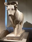 Apis (Greek mythology)
