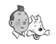 TinTin Books