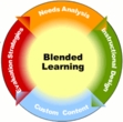 Instructional Designers