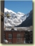 Telluride Reads