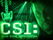 CSI and NCIS Lovers