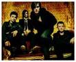 Emo,Punk,Rock Lovers