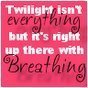 Twilight fans
