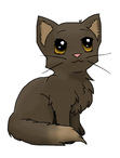 cat luvers
