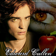 Team Edward