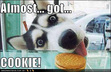 Cookies