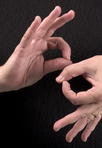 Sign Language Interpreters