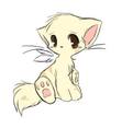 Warrior cats