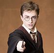 Harry Potter Lovers Group