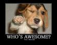 The awsome people group