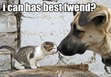 Totally friends!!!