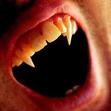 A REAL vampire RP.