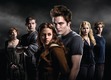 Team Twilight