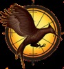 HUNGER GAMES!!!!!!!!!!!!!Let the Games Begin!