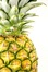Pineapples Define Me. (RP group)