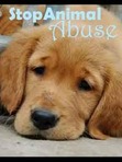 Stop Product Testing On Animals!