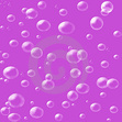 Bubbles