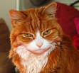 The Apparent Ginger Appreciation Reading Society
