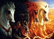 The Apocalypse 
