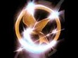 The Hunger Games is Awesome 