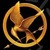 Hunger Games Forever