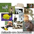 Animals Rule/Mythical Creatures!!! : )
