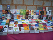 Summer Reading '11