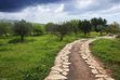 Along The Enchanted Way 