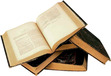 The Voracious Reader