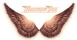 Maximum Ride: The Elite Version