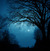 Under the Full Moon