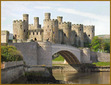 Medieval Institute for Mystical Creatures