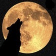 Full Moon (A Wolf Role Play)