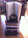 Epic Reading Inc.