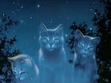 Ulitimate Warrior Cat Group