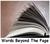 Words Beyond The Page 