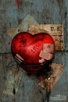 The Heart