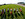 Rushing Creek Racing Stables