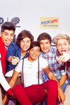 Yeah I'm a Directioner, got a problem?