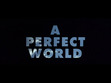 the perfect world 