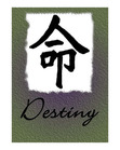 The Academy of Destiny