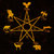 Academy of The Star