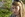 Ask Alison Davis