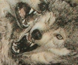 wolves, we are one with spirits and evil