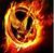 The Hunger Games ~Roleplay~