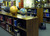 Lunar and Planetary Institute Library