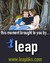 Leap Books