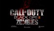 Black Ops II- Zombies (RP)