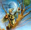Druid Study / Reading Group